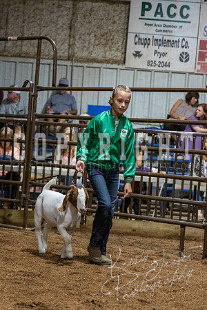 mayes_county_fair_premium_sale_2646