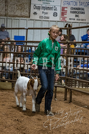 mayes_county_fair_premium_sale_2647