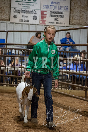 mayes_county_fair_premium_sale_2648