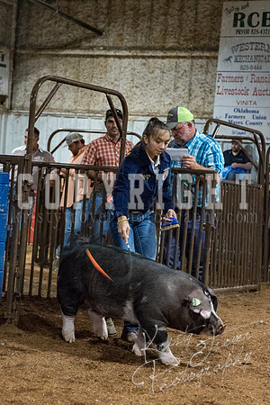 mayes_county_fair_premium_sale_2649