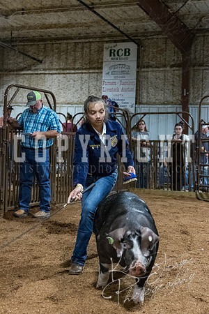 mayes_county_fair_premium_sale_2651