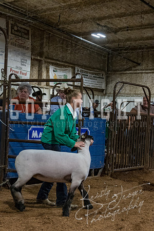 mayes_county_fair_premium_sale_2652