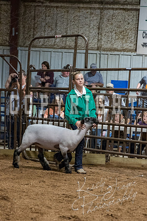 mayes_county_fair_premium_sale_2653