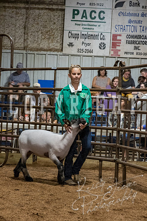 mayes_county_fair_premium_sale_2654