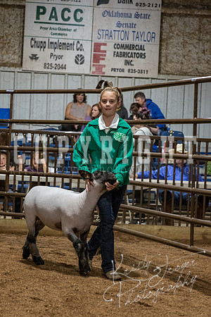 mayes_county_fair_premium_sale_2655