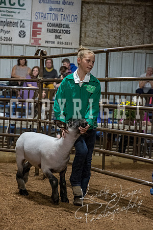 mayes_county_fair_premium_sale_2656
