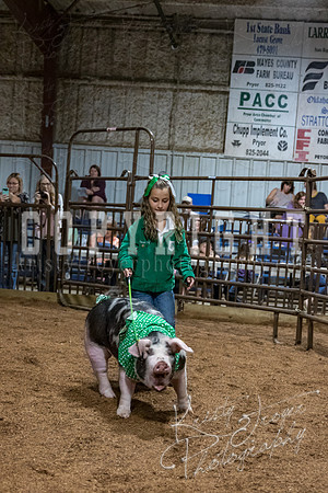 mayes_county_fair_premium_sale_2657