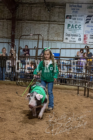 mayes_county_fair_premium_sale_2658