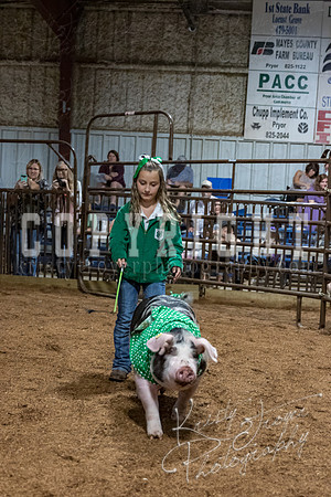 mayes_county_fair_premium_sale_2659