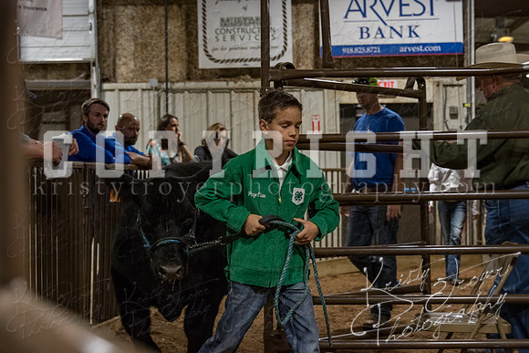 mayes_county_fair_premium_sale_2660