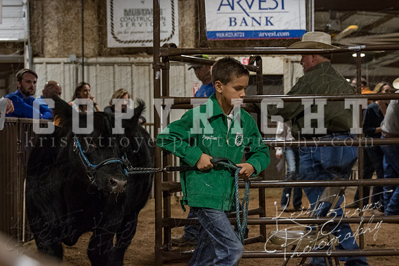 mayes_county_fair_premium_sale_2661