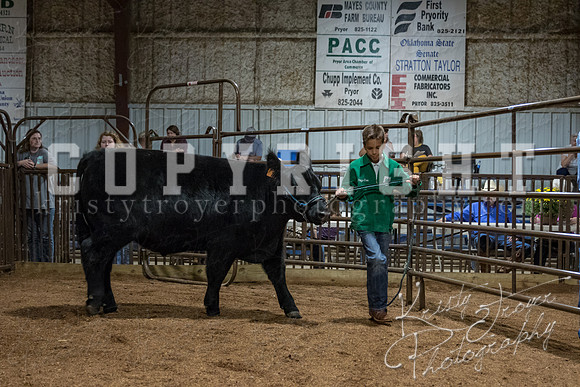mayes_county_fair_premium_sale_2662