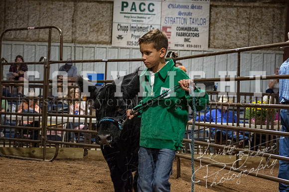 mayes_county_fair_premium_sale_2663