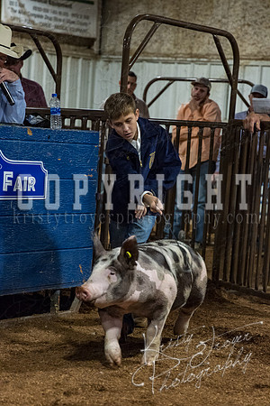 mayes_county_fair_premium_sale_2664