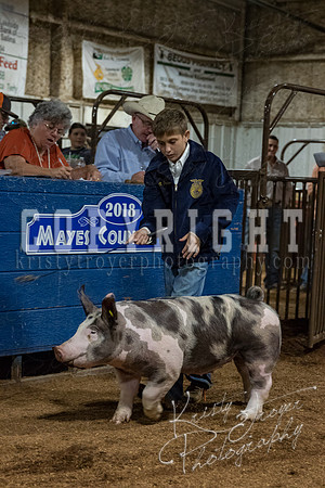 mayes_county_fair_premium_sale_2665