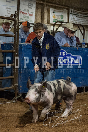 mayes_county_fair_premium_sale_2666