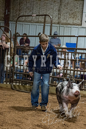 mayes_county_fair_premium_sale_2667