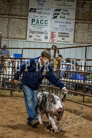 mayes_county_fair_premium_sale_2668