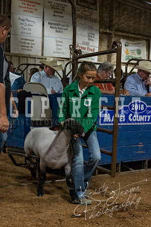 mayes_county_fair_premium_sale_2669