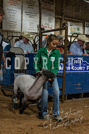mayes_county_fair_premium_sale_2670