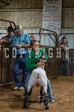 mayes_county_fair_premium_sale_2671