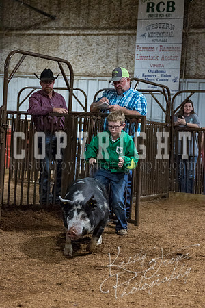 mayes_county_fair_premium_sale_2672