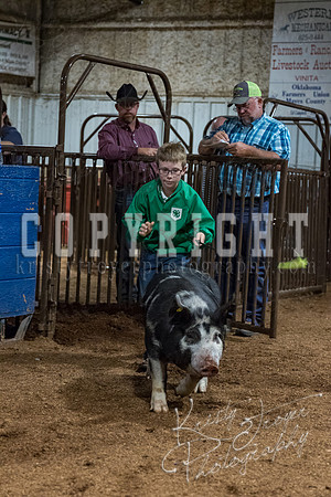mayes_county_fair_premium_sale_2673