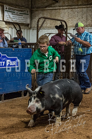 mayes_county_fair_premium_sale_2674