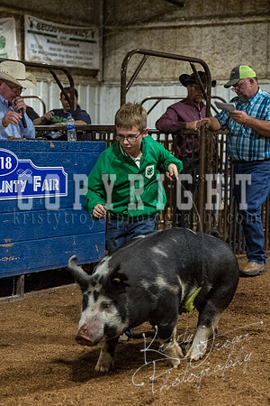 mayes_county_fair_premium_sale_2675