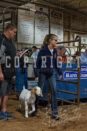 mayes_county_fair_premium_sale_2676