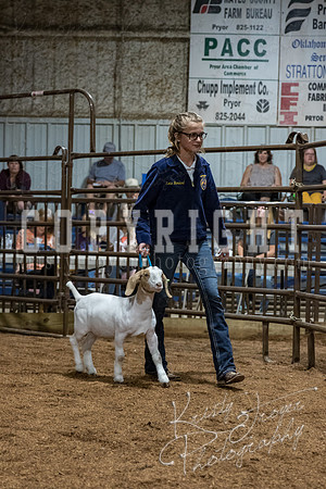 mayes_county_fair_premium_sale_2677