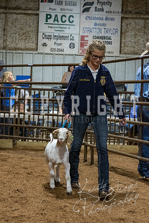mayes_county_fair_premium_sale_2679