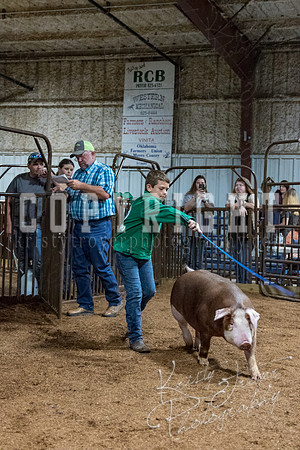 mayes_county_fair_premium_sale_2680