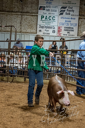 mayes_county_fair_premium_sale_2681