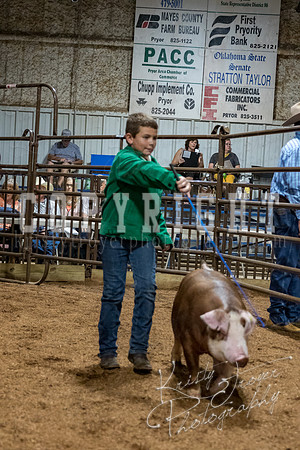 mayes_county_fair_premium_sale_2682