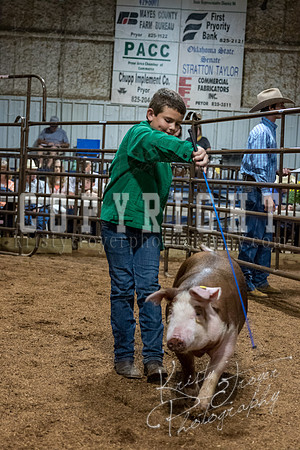 mayes_county_fair_premium_sale_2683