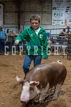 mayes_county_fair_premium_sale_2684