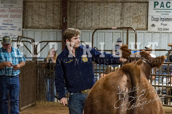 mayes_county_fair_premium_sale_2685