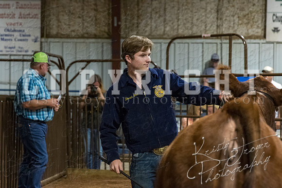 mayes_county_fair_premium_sale_2686