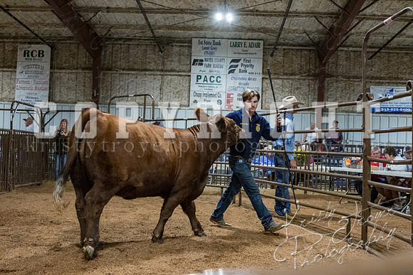mayes_county_fair_premium_sale_2687