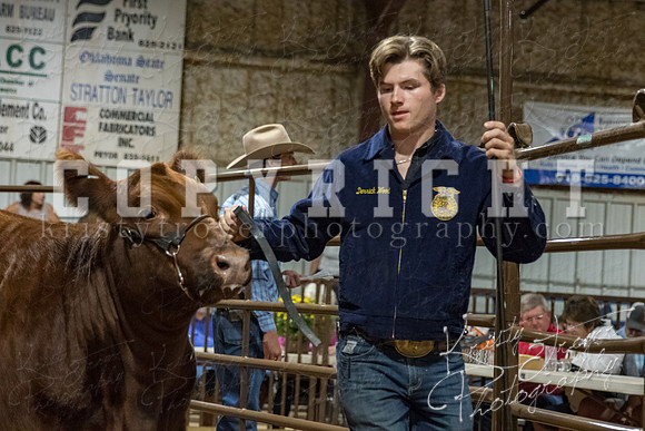 mayes_county_fair_premium_sale_2688