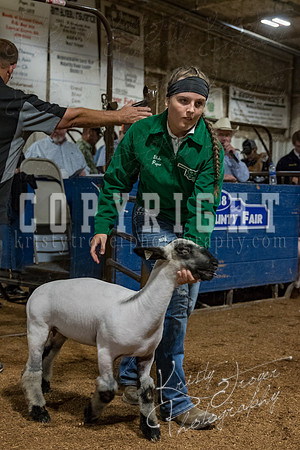 mayes_county_fair_premium_sale_2689