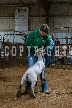 mayes_county_fair_premium_sale_2690