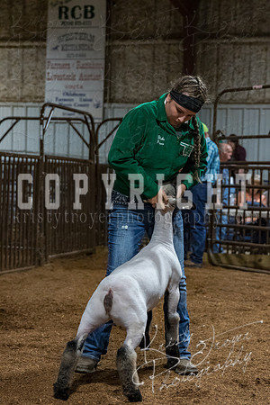 mayes_county_fair_premium_sale_2691