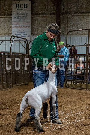 mayes_county_fair_premium_sale_2692