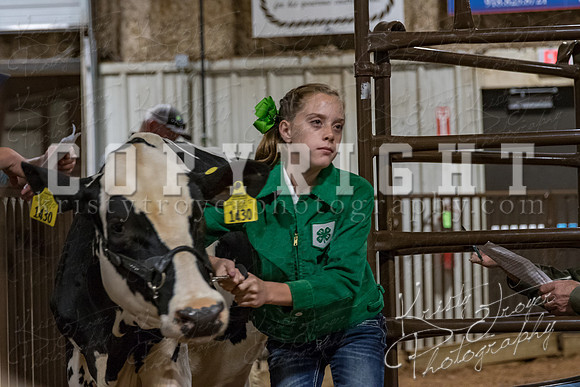 mayes_county_fair_premium_sale_2694