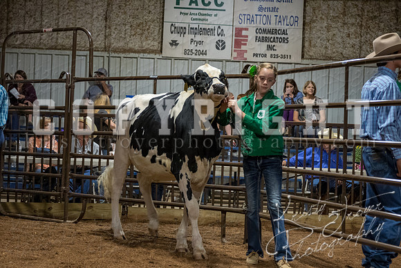 mayes_county_fair_premium_sale_2696