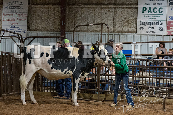 mayes_county_fair_premium_sale_2695