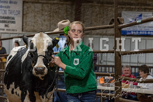 mayes_county_fair_premium_sale_2697