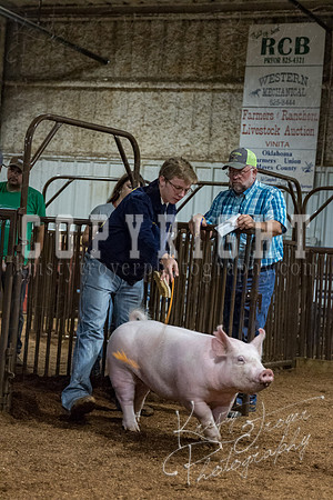 mayes_county_fair_premium_sale_2698